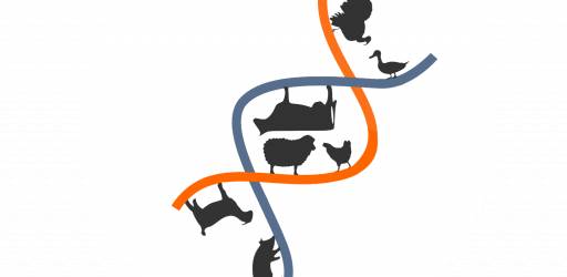 Održano pozivno predavanje prof. dr. sc. Vlatke Čubrić Čurik te predavanje izv.prof.dr.sc. Maja Ferenčaković na međunarodnom kongresu Animal Science Days 2026 u Češkoj