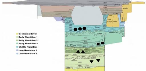 Journal club sastanak 27.01.2026.