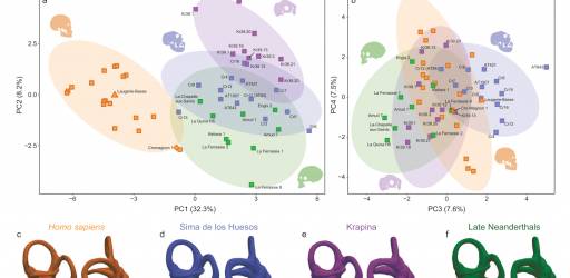 Journal club sastanak 13.05.2025.