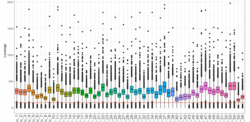 GAbridge journal club November 21st, 2024