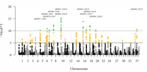 Fifth Journal Club hosted within the PhenoGeno project