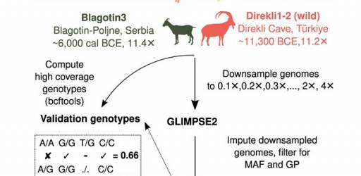Journal club sastanak 18.11.2025.