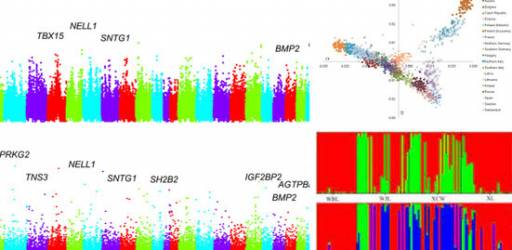 Sudjelovanje na radionici „Introduction to Population Genomics”