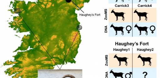 Istraživački boravak na Roslin Institute, 1.-30.10.2025.