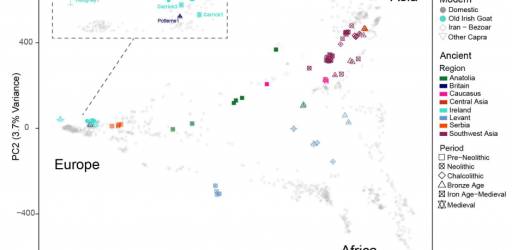 Journal club sastanak 13.11.2025.