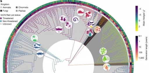 Members of our group are co-authors of a paper published in the journal "Nature"