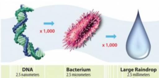 Application of nanoparticle physics in biotechnology - video