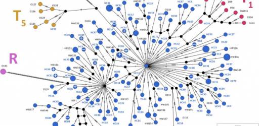 Second Journal Club hosted within the PhenoGeno project