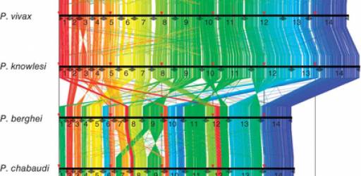 Sudjelovanje na radionici „Comparative Genomics”