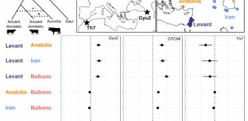 Journal club sastanak 03.02.2026.