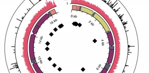 Third Journal Club hosted within the PhenoGeno project