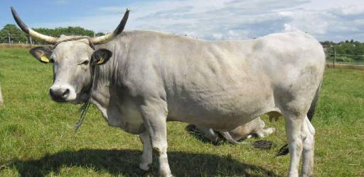 Održano izlaganje na ENE2025