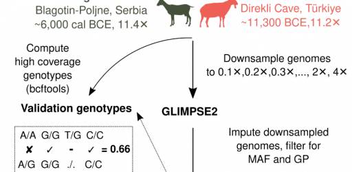 Journal club November 18th, 2025